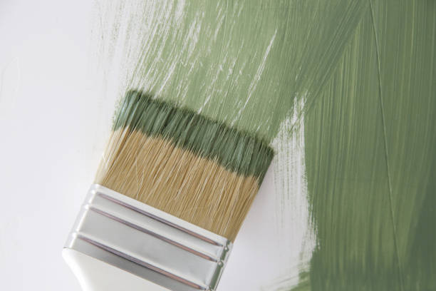 Best Mold Remediation for Rental Properties  in Longview, WA