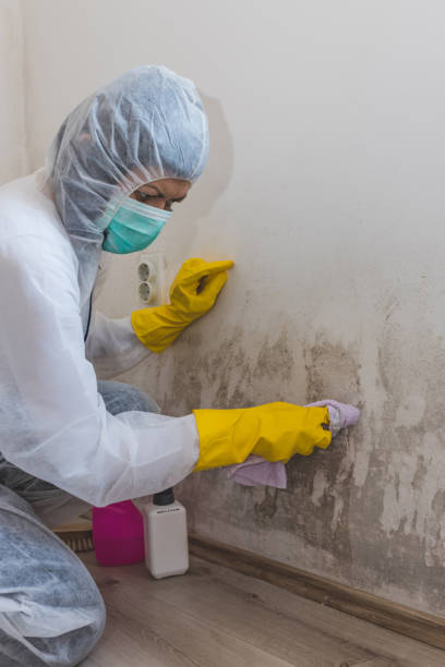 Best Forensic Mold Investigation  in Longview, WA