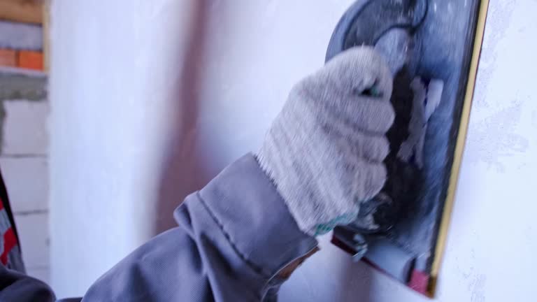 Best Mold Damage Restoration  in Longview, WA