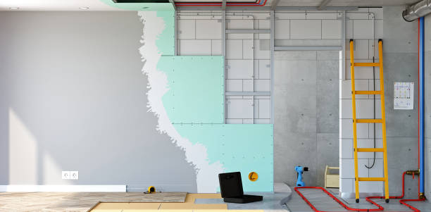 Best Environmental Consulting for Mold Prevention  in Longview, WA
