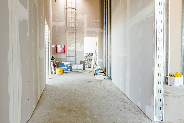 Best Mold Documentation for Insurance Claims  in Longview, WA