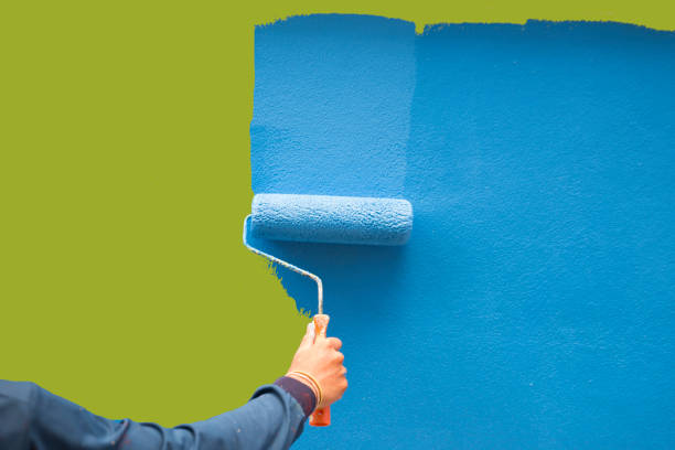 Best Mold Remediation for Healthcare Facilities  in Longview, WA